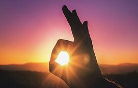 ������_�ľW(w��ng)վ�İ��أ�