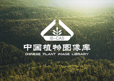 ֲ���о����Wվ�������p