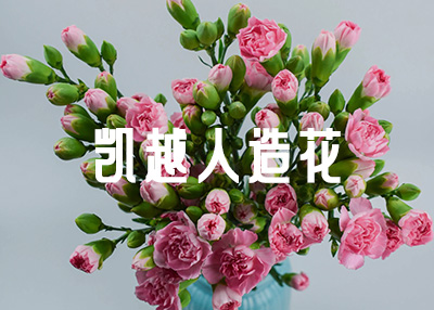 ��̻���Wվ�OӋ�_�l�������p