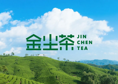 ���m����~�°�W(w��ng)վ���O(sh��)�_�l(f��)���-����չʾ