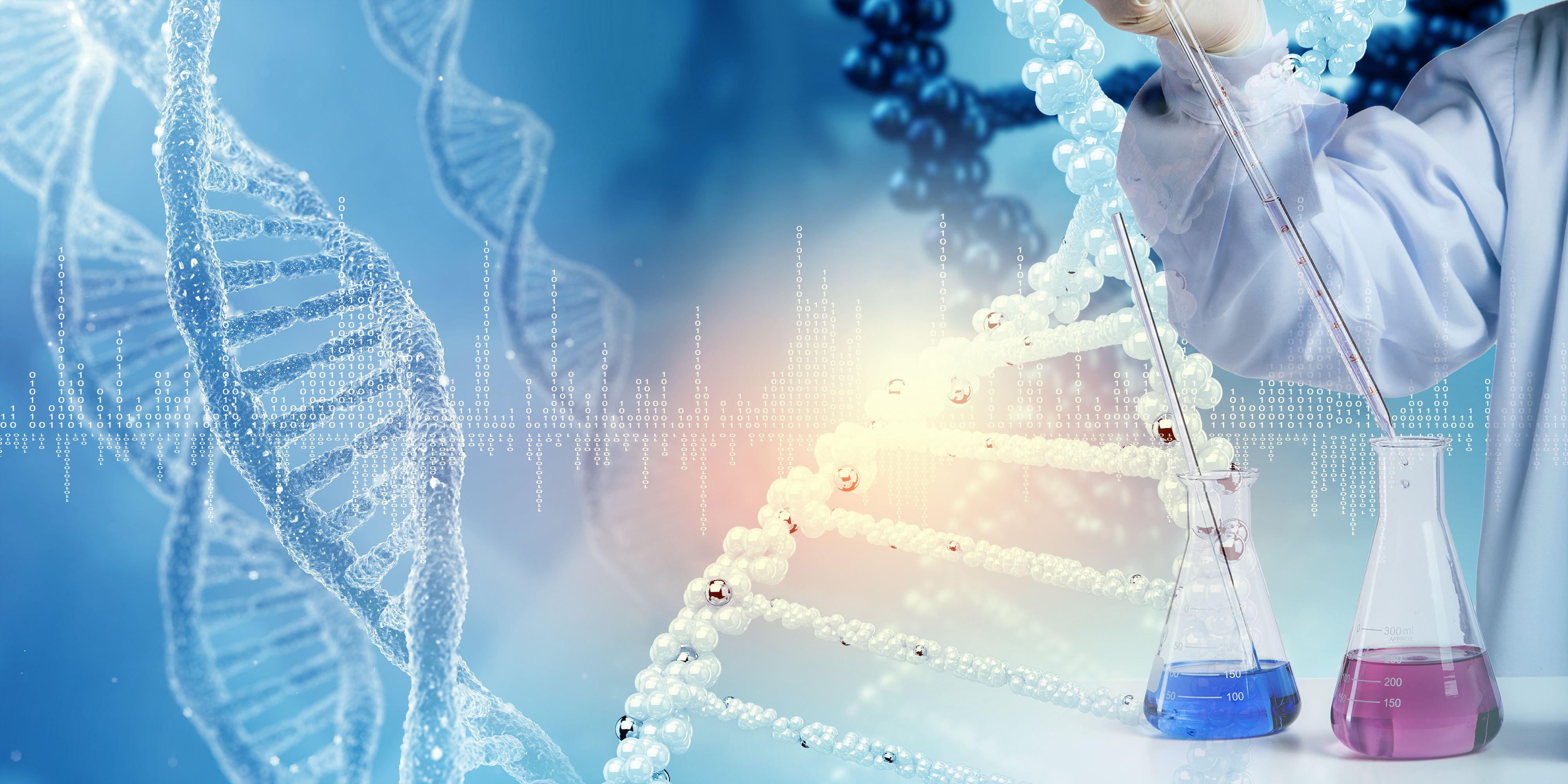 �t���Wվ���O