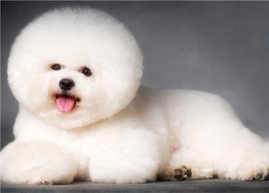 ����W(w��ng)վ����