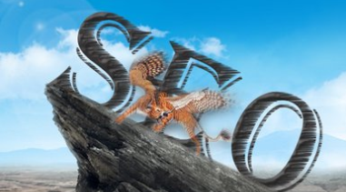 �P���W(w��ng)�j(lu��)