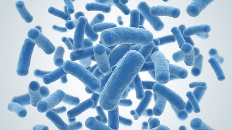 �W(w��ng)վ�_(k��i)�l(f��)