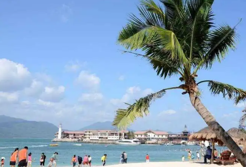 �����W(w��ng)վ�_�l(f��)